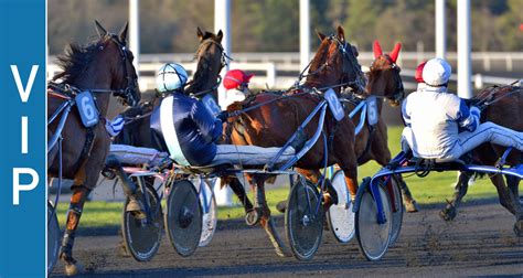 quinte vendredi 6 octobre 2023|Les 3 tuyaux du Quinté+ du vendredi 6 octobre à Vincennes.